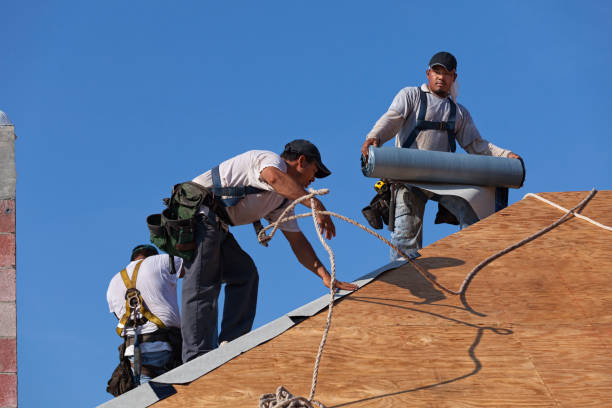 Best Local Roofing Companies  in Mishicot, WI