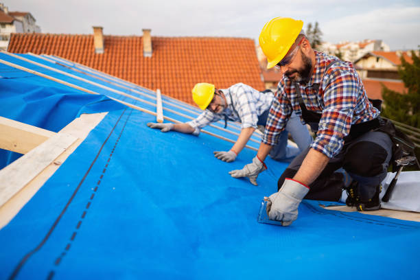 Best Flat Roof Repair Services  in Mishicot, WI