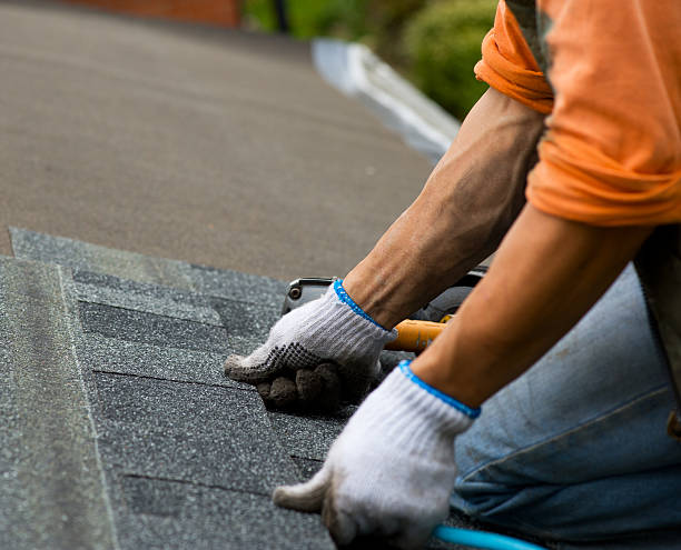 Best Roof Gutter Cleaning  in Mishicot, WI